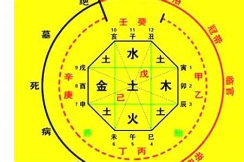 龍德 八字|【八字 龍德】八字神煞中的龍德貴人：揭秘它的吉星意涵 – 鄧廣。